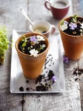 Dessert au chocolat et aux fleurs façon jardinière