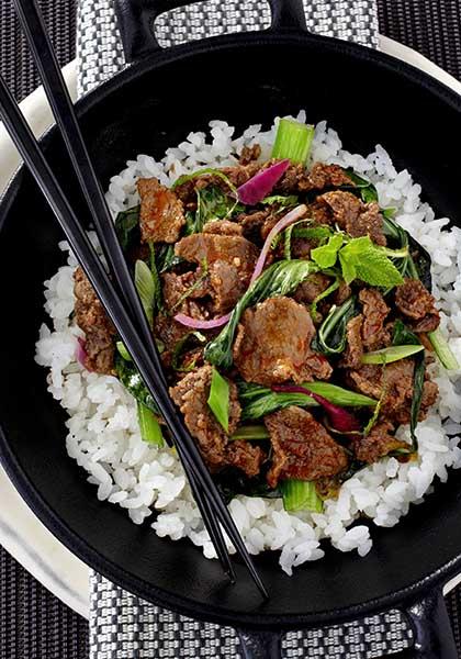 Donburi de bœuf et riz blanc