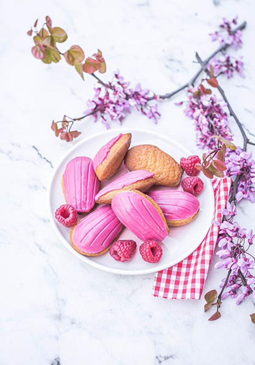 Madeleines coque chocolat blanc et framboises