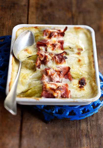 Chicon gratin